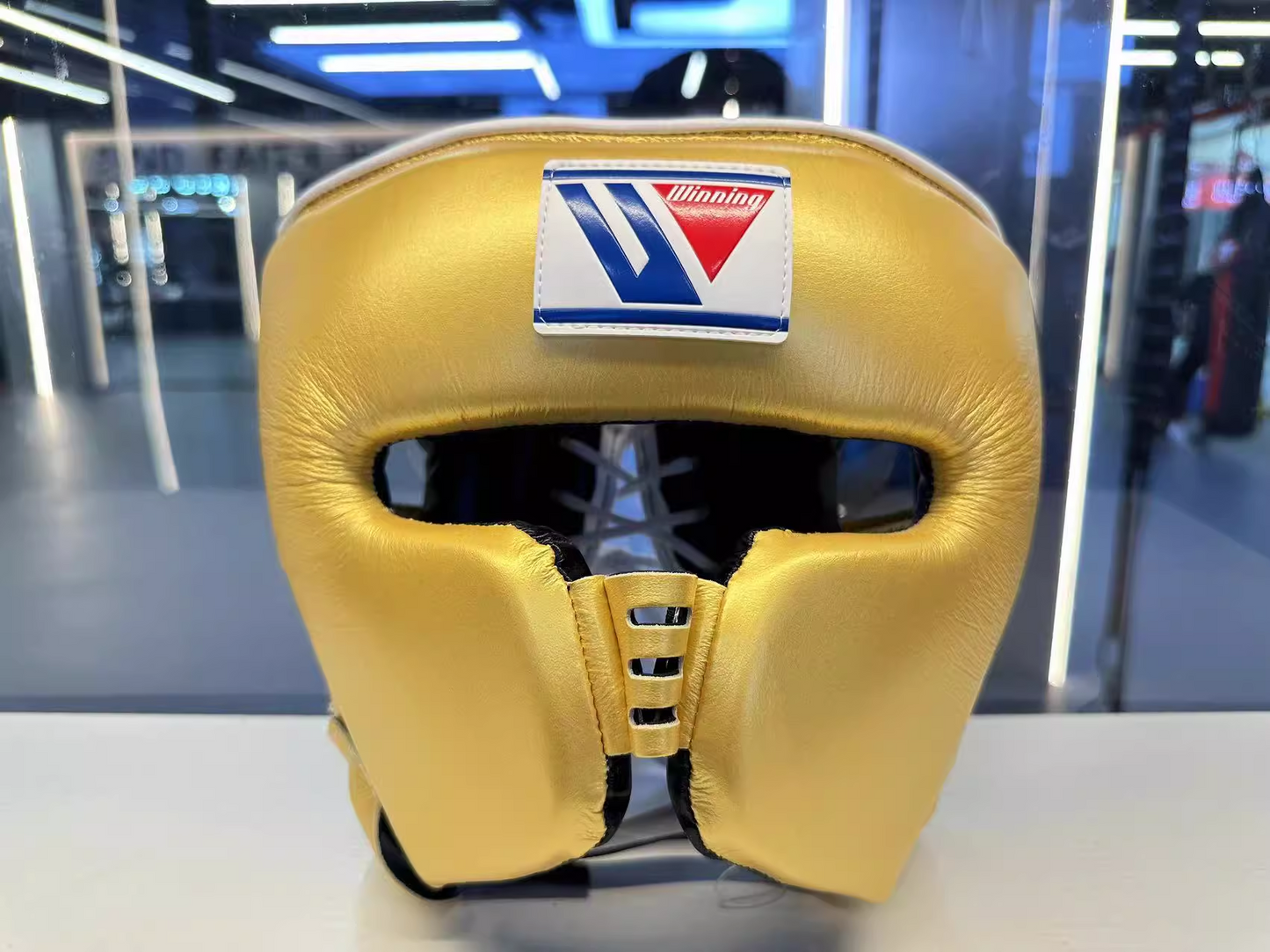 Winning Nose and Head Guard